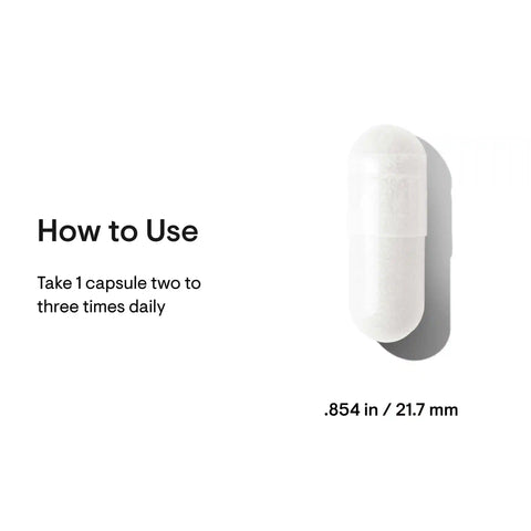 Bacillus Coagulans